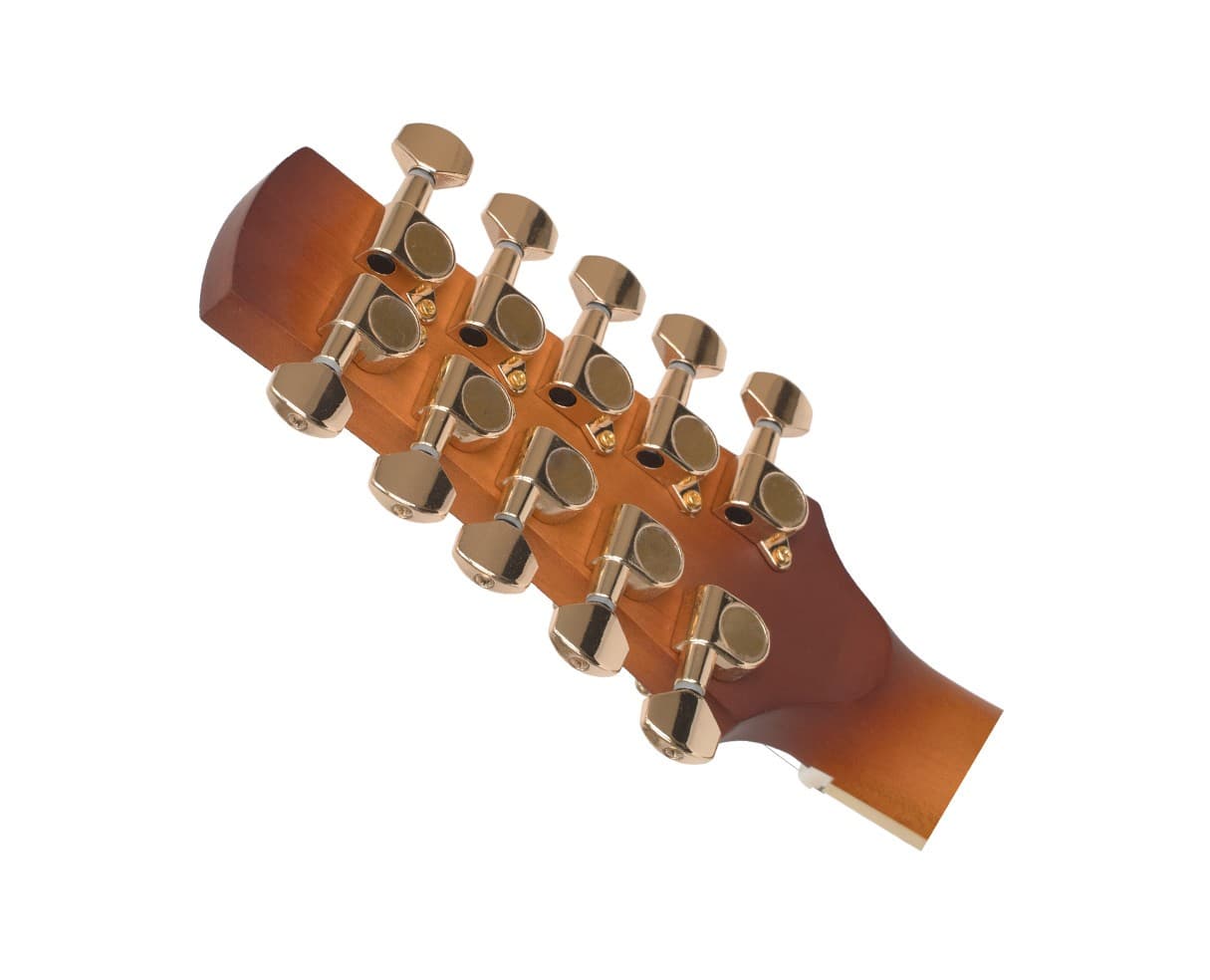 Gold Tone Mastertone F10 10-String F-Style Mandolin - Open Box 5