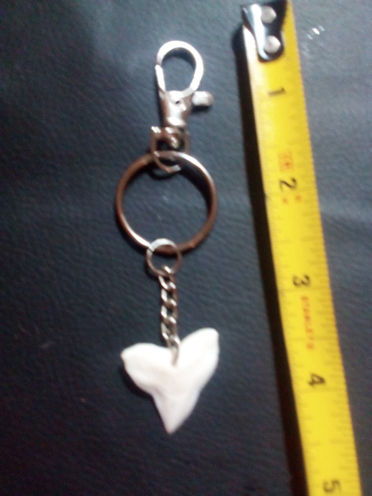 Medium Shark Tooth Keychain With Attached Lanyard Clip 2