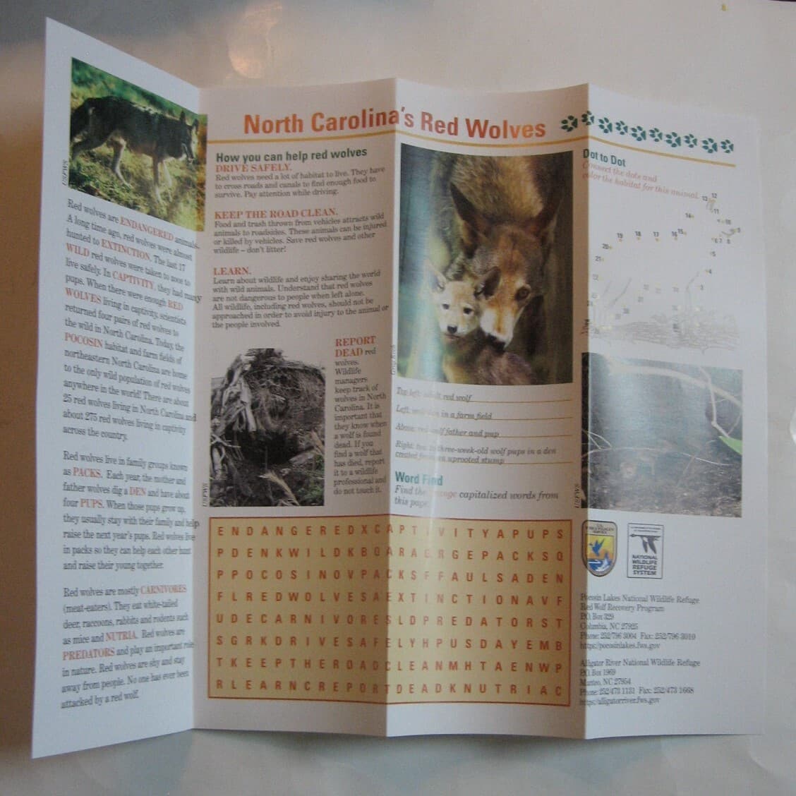 North Carolina Wildlife Red Wolves Black Bears Brochures Information and Fun 3