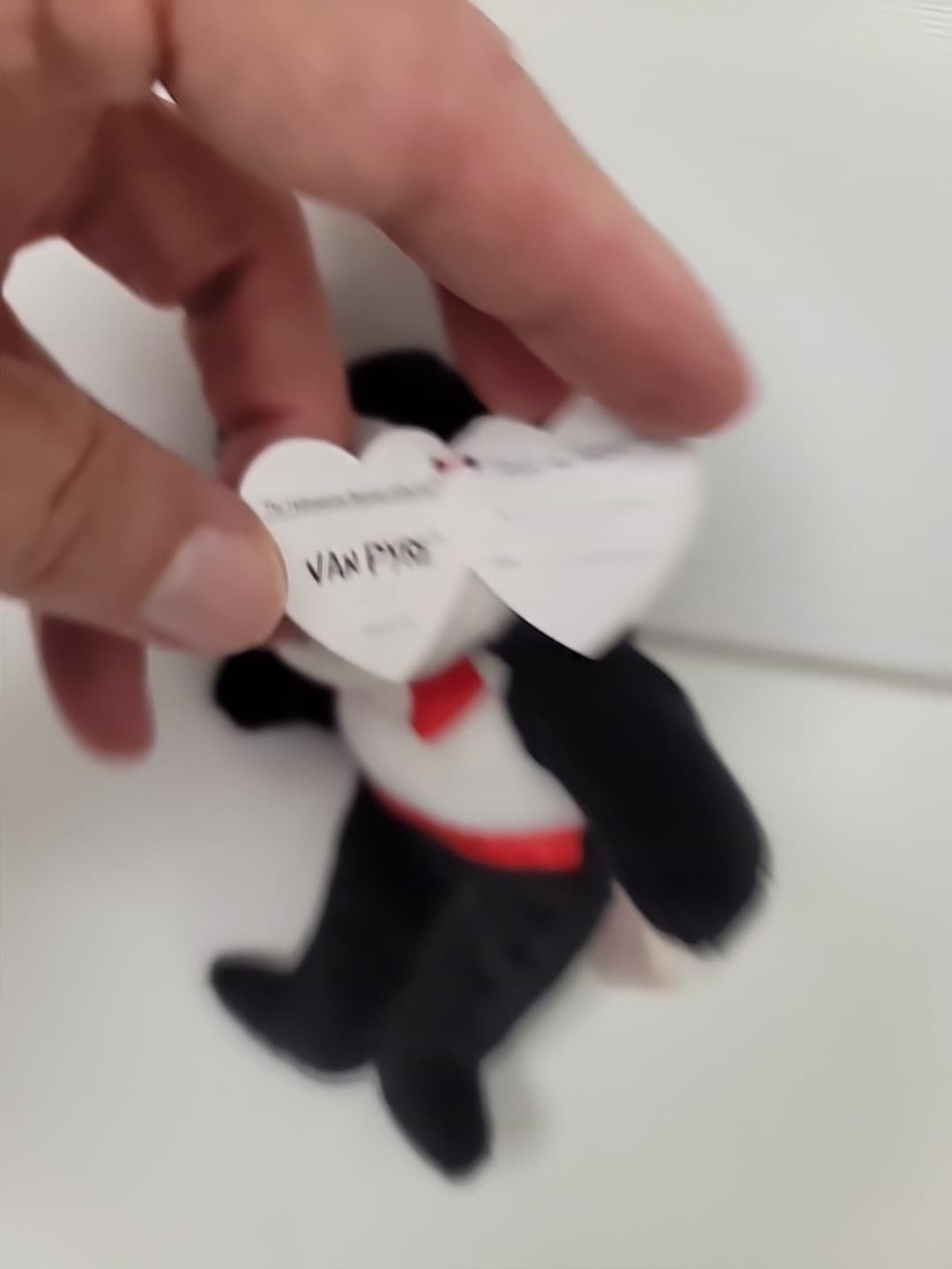 Ty Halloweenie Beanie Baby VAN PYRE the Bear 4" 11cm MWMTs Halloween Dracula New 2