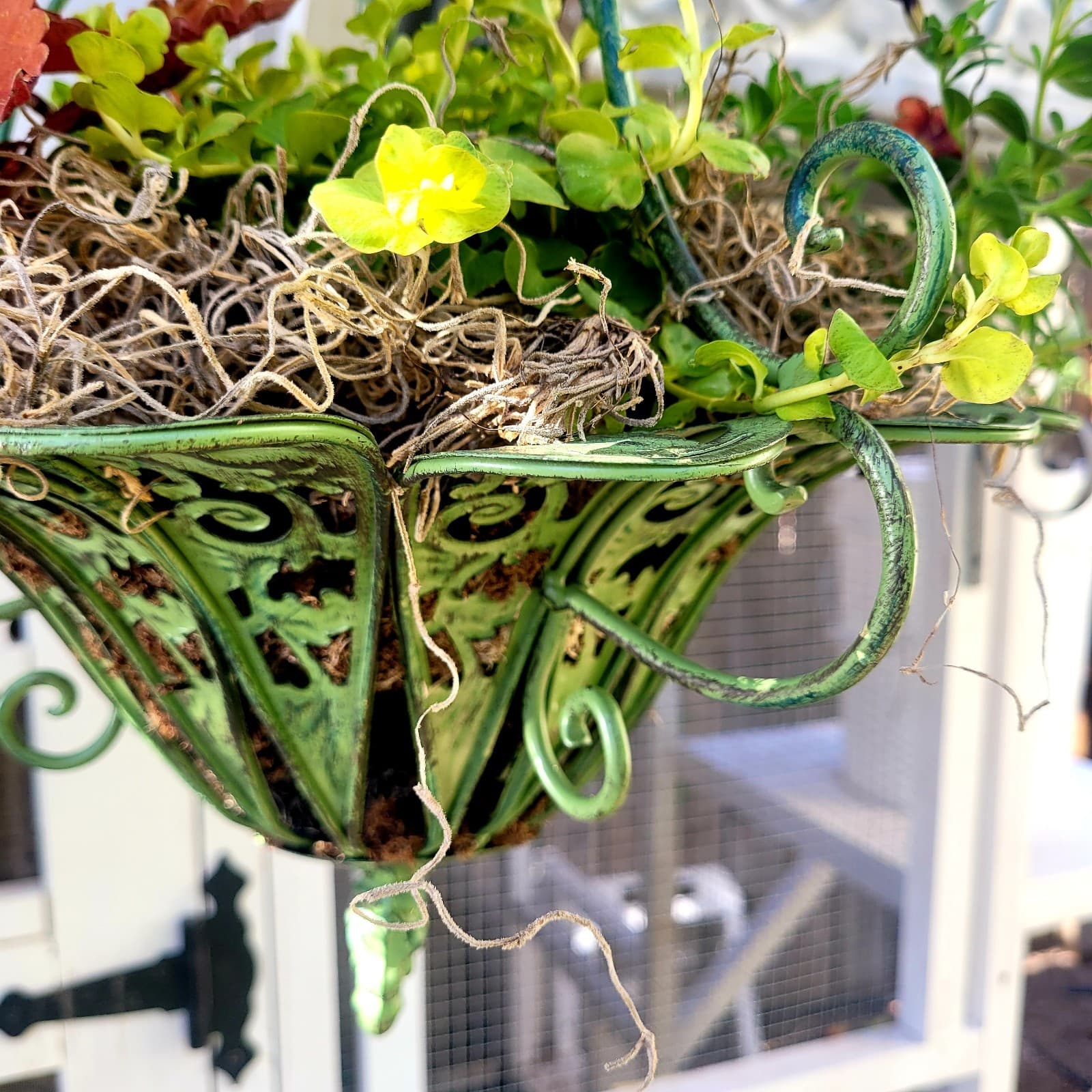 Hanging Wrought Iron Flower Planter Basket Green 16" 5