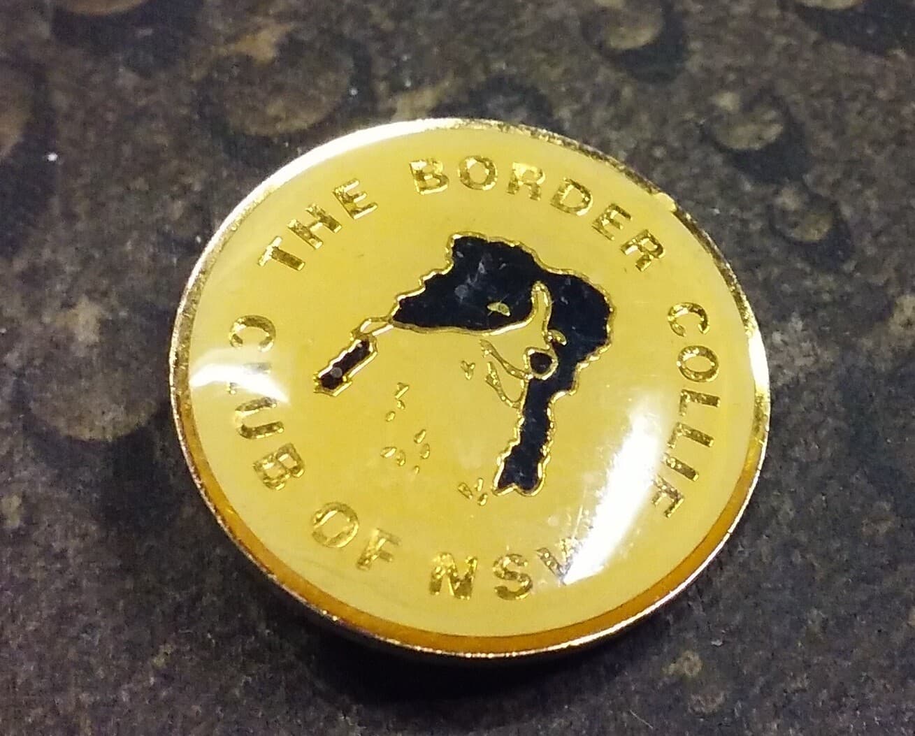 Border Collie Club of NSW pin badge 2