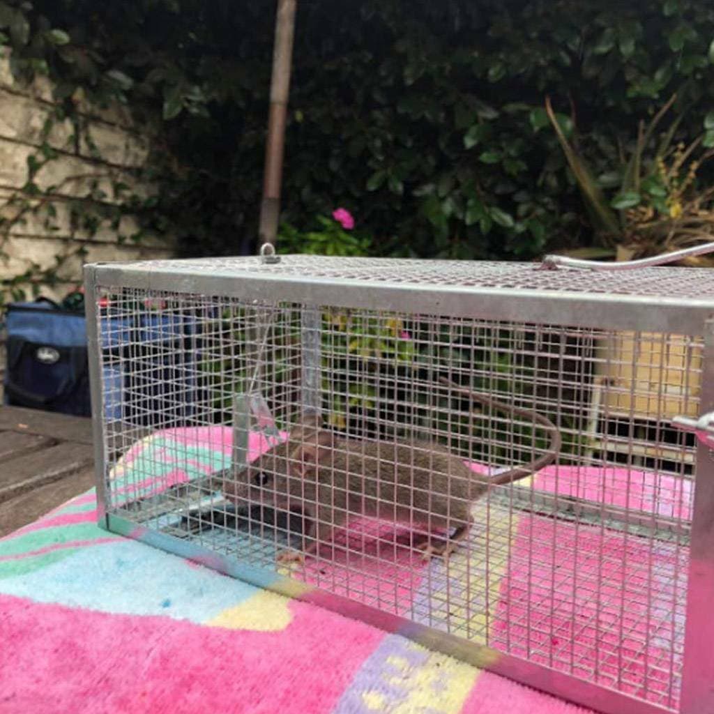 Large Live Humane Cage Trap for Squirrel Chipmunk Rat Mice Rodent Animal Catcher 5