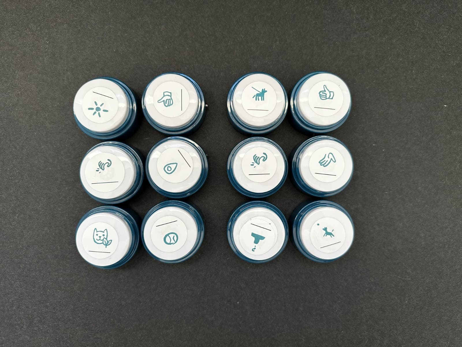 FluentPet Basic Buttons - Set of 12 - Open Box - Recordable - Used 2