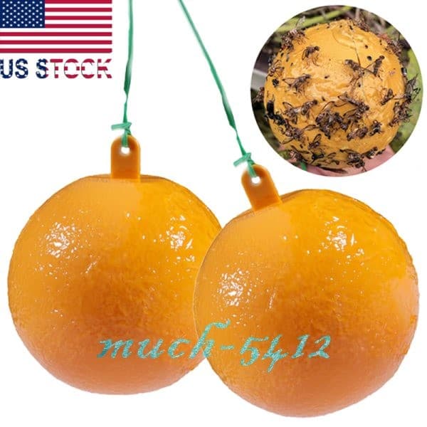 Bug Fruit Fly Traps Sticky Ball Fungus Gnat Pest Control Ball for Indoor Outdoor 5