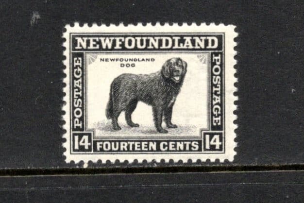 S3564 Newfoundland 1941 Newfoundland Dog perf 12 1/2 1v. MNH