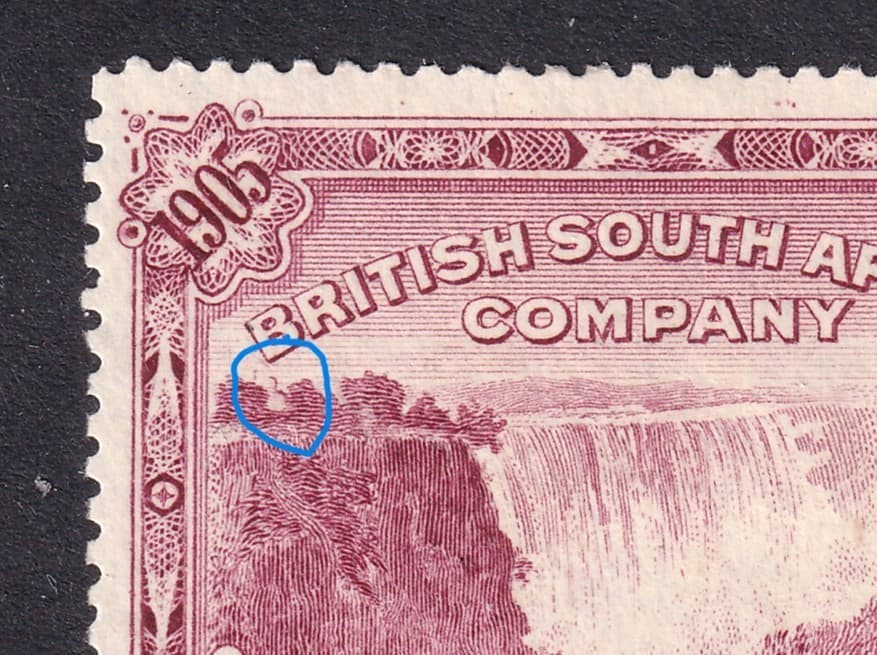 Rhodesia rare 'Bird in Tree' variety on 1905 perf 14 5d Victoria Falls issue 2