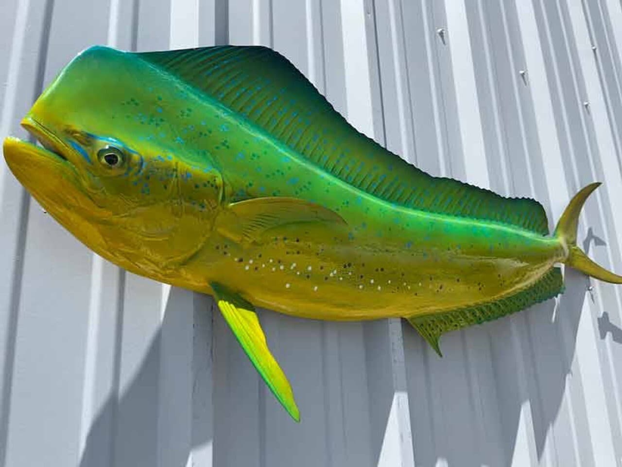 53" Bull Dolphin "Green Hornet" Half Mount - In Stock & Ready to Ship 3