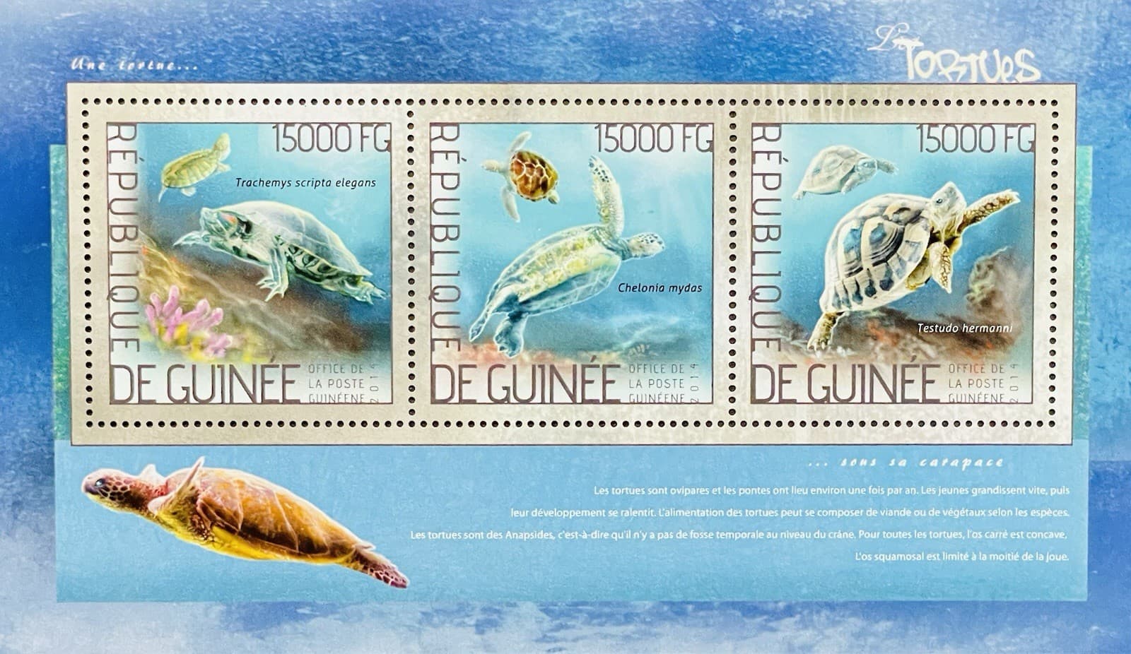 GUINEA TURTLES STAMPS SHEET MNH 2014 REPTILE ANIMALS GREEN SEA TURTLE TORTOISE