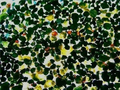 Sapphire crystal untreated mixed grade mine rough 1/4 pound 50+ pieces 2