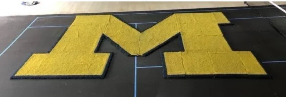 Michigan Wolverines Game Used BLOCK M turf from 50 Yard Line of Michigan Stadium 6