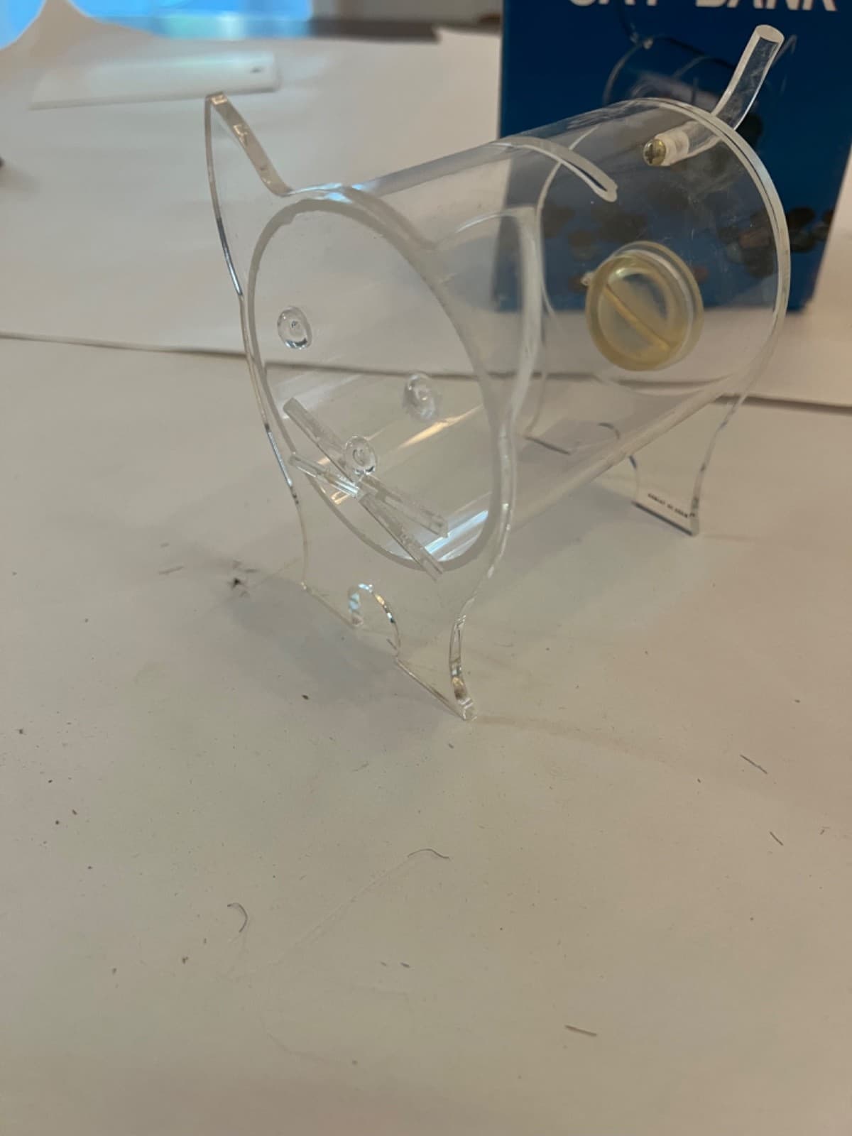 Cat coin bank savings vintage clear acrylic  2