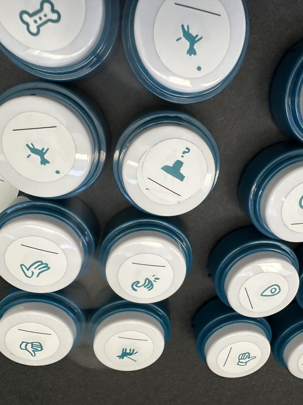 FluentPet Basic Buttons - Set of 16 - Open Box - Recordable - Used 4