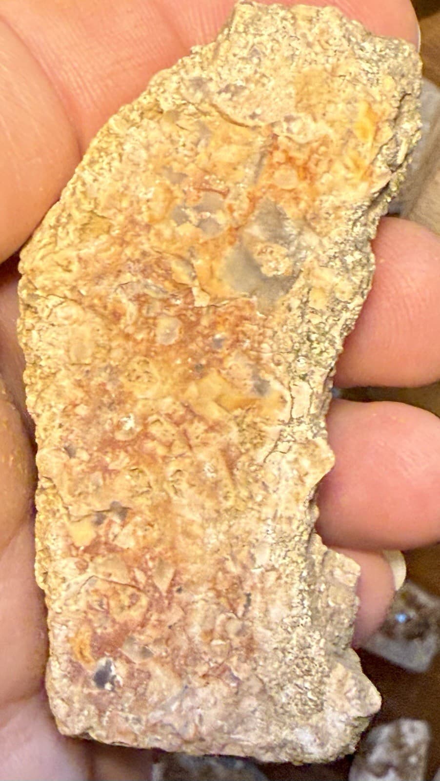 Perfectly Preserved Agatized Crinoid Fossils In Epidosite 🤩 2