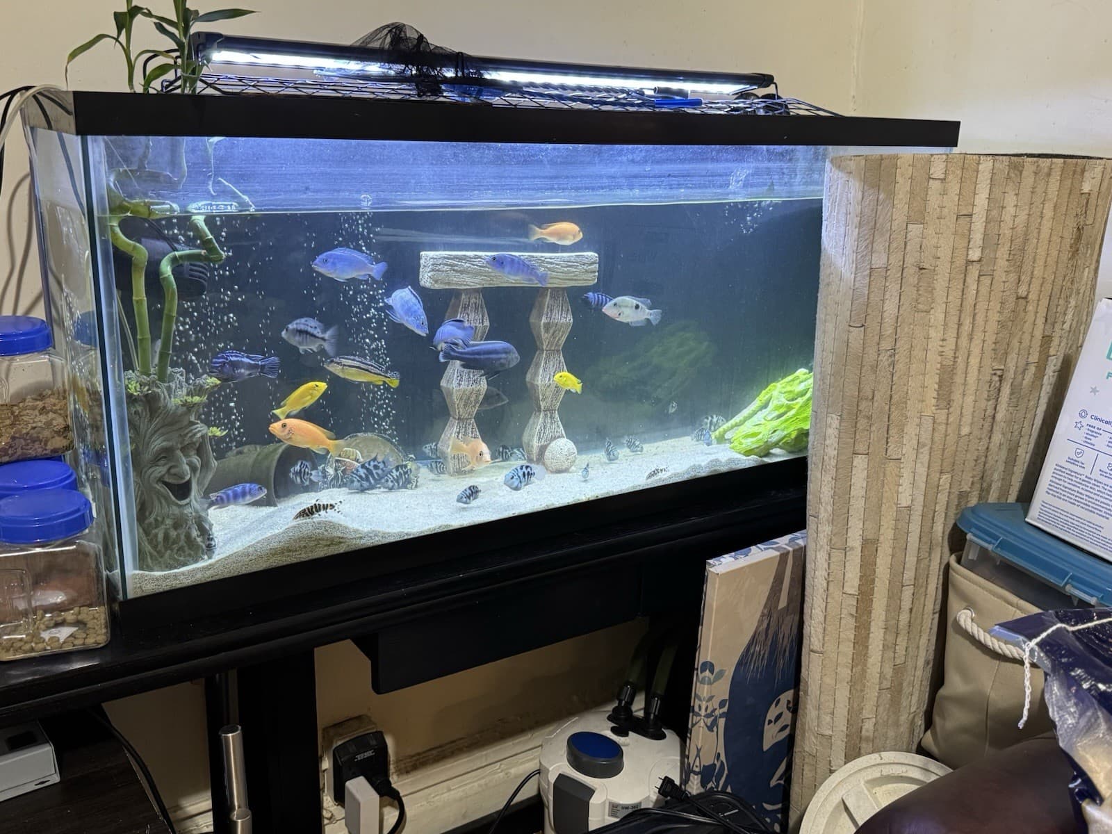 75/55/29/20 Gallon Fish Tanks 2