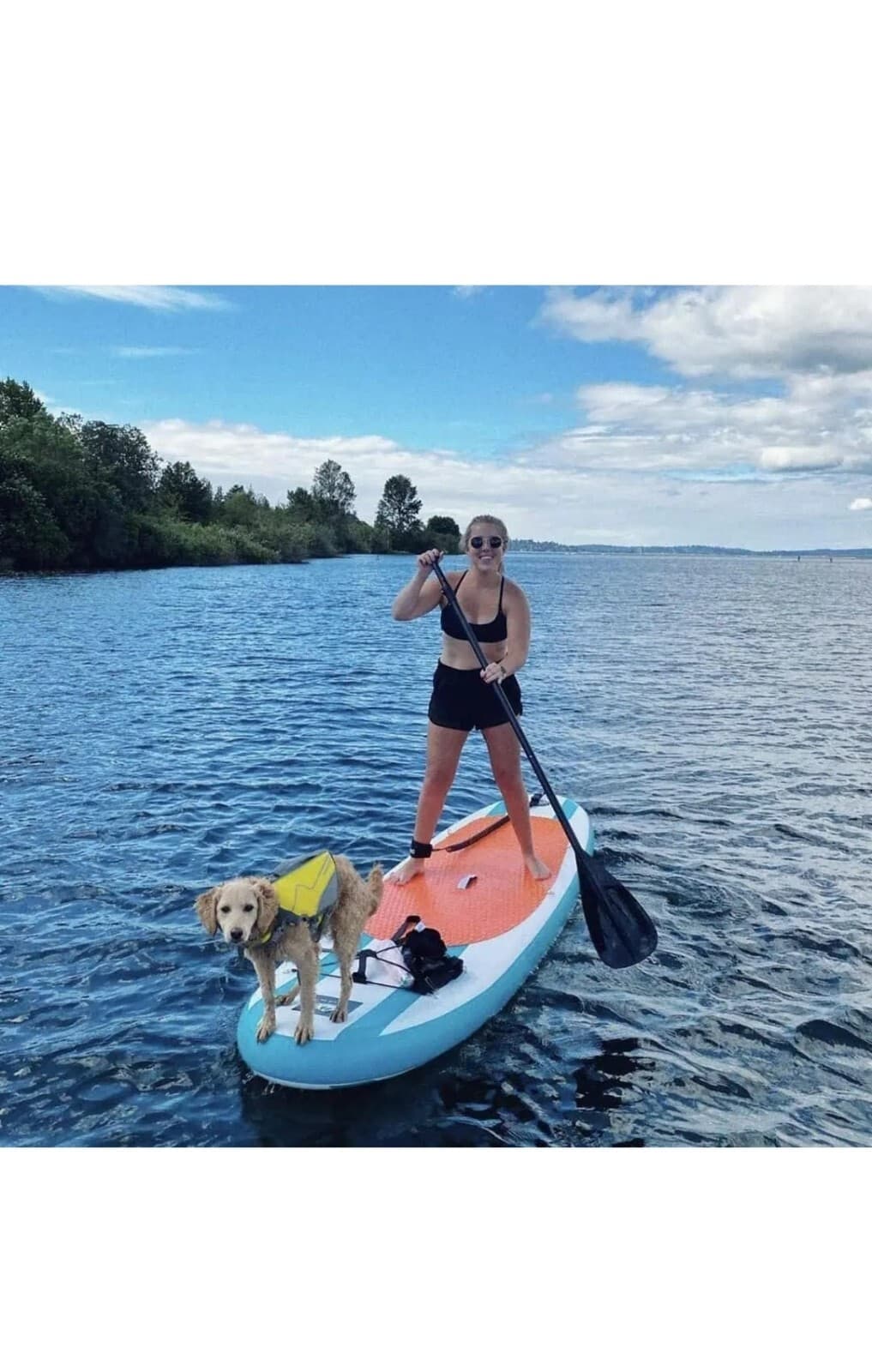 Serene Life Paddle - Adjustable 3 Pieces Stand-Up Board Paddles Floating Alumin 2