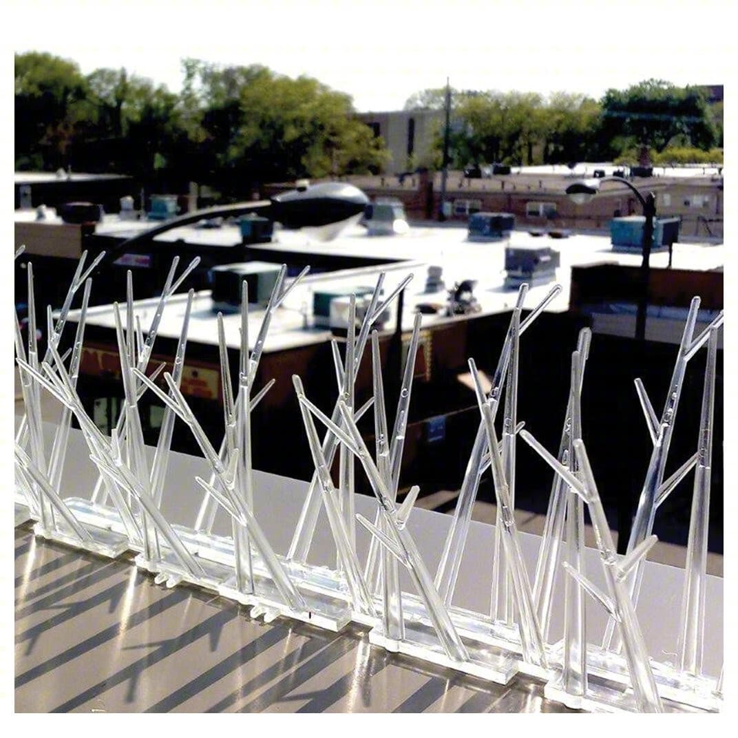BIRD-X • SP-100 • BIRDS OFF Polycarbonate Repellent Spikes Bird Control 100 Feet