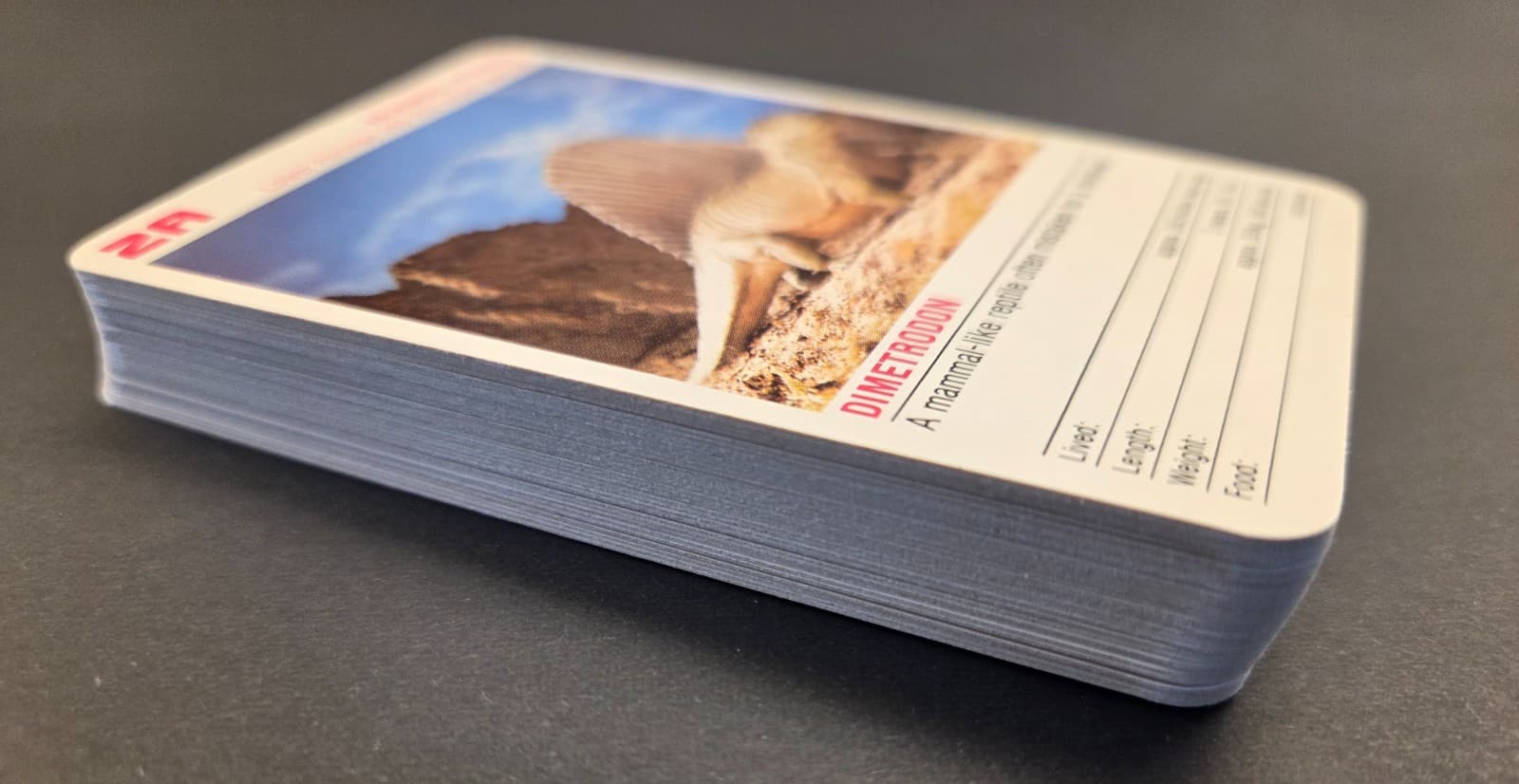 VINTAGE Dinosaurs And Prehistoric Animals Rummy Card Game - Complete 5