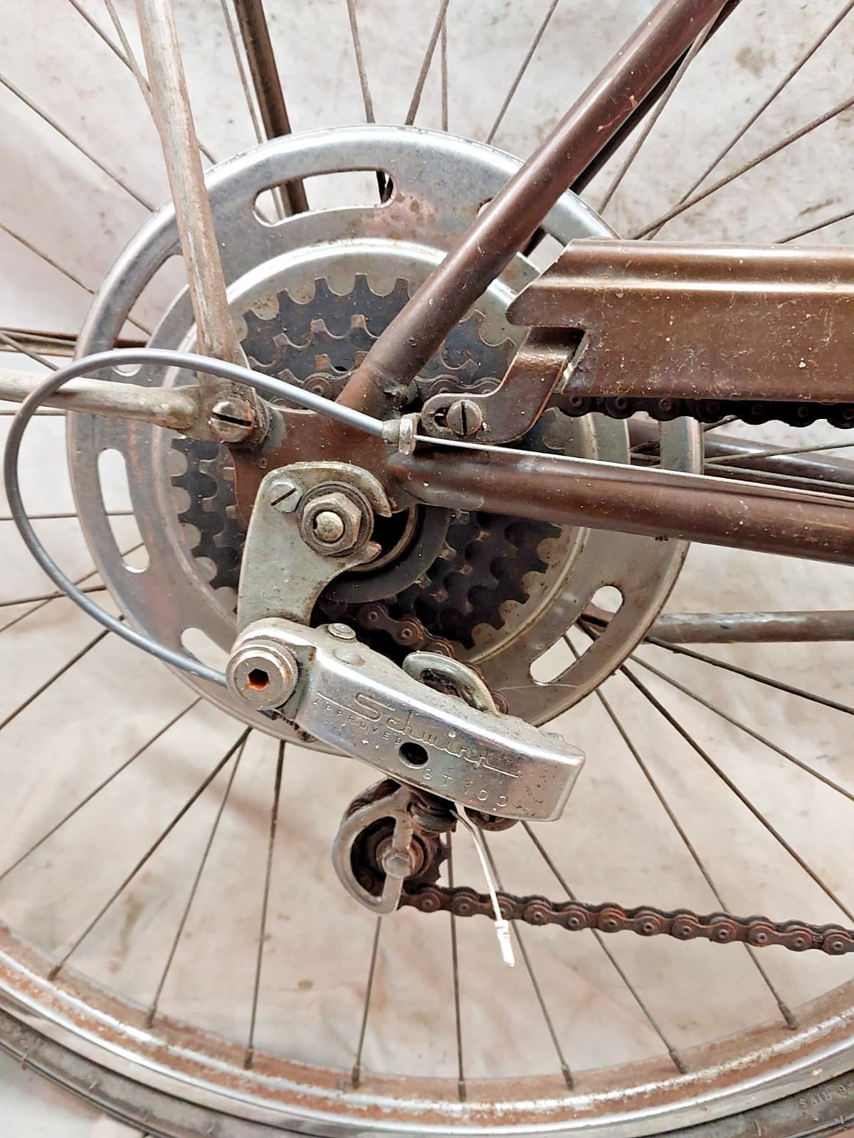 1972 Schwinn Collegiate Cruiser Bike 19.5" Large 5 Speed Steel USA Made StepThru 3