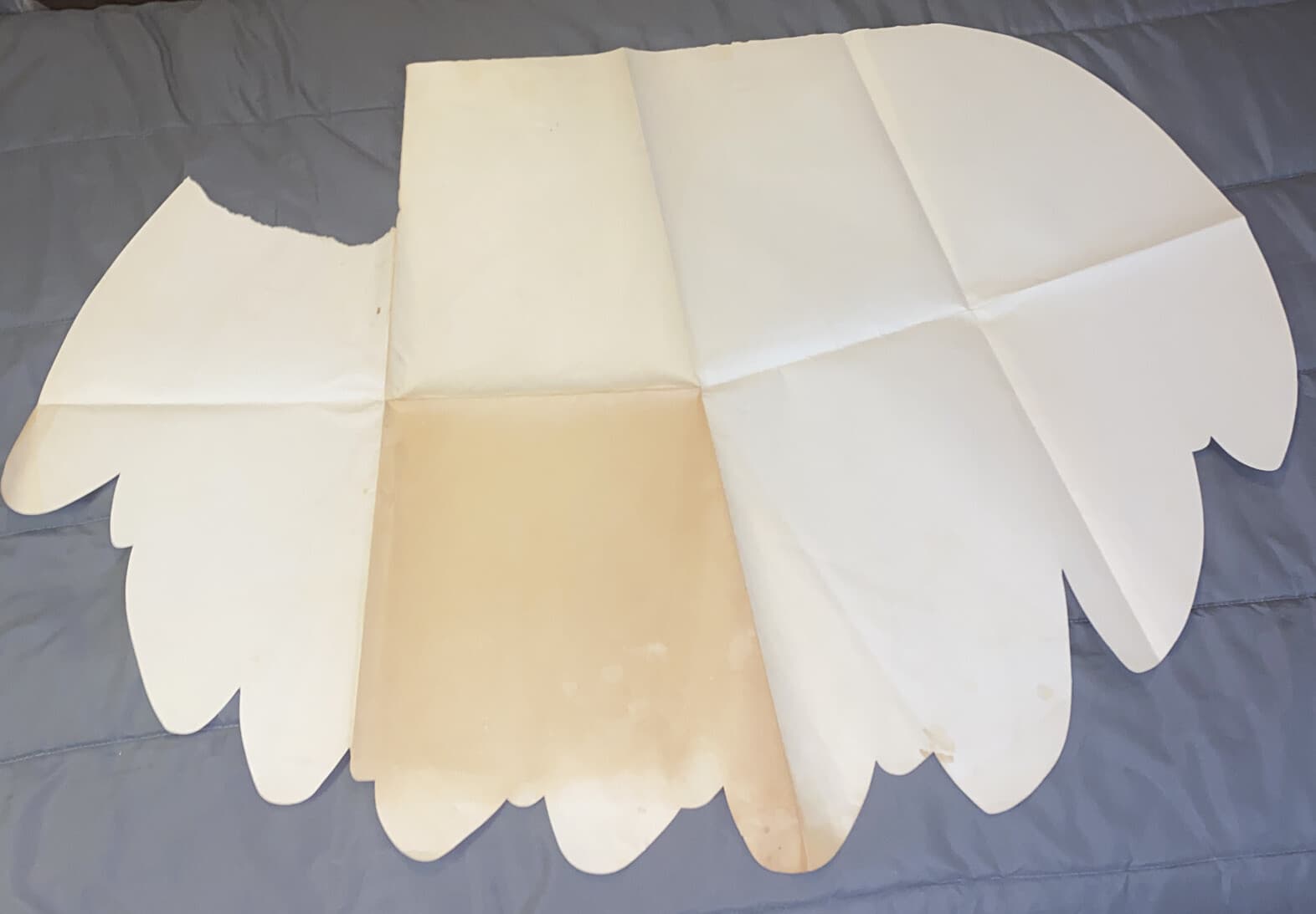 Auth VTG Bananas Poster Standard Fruit Steamship Co Grocery Display Ad Sign Prop 6