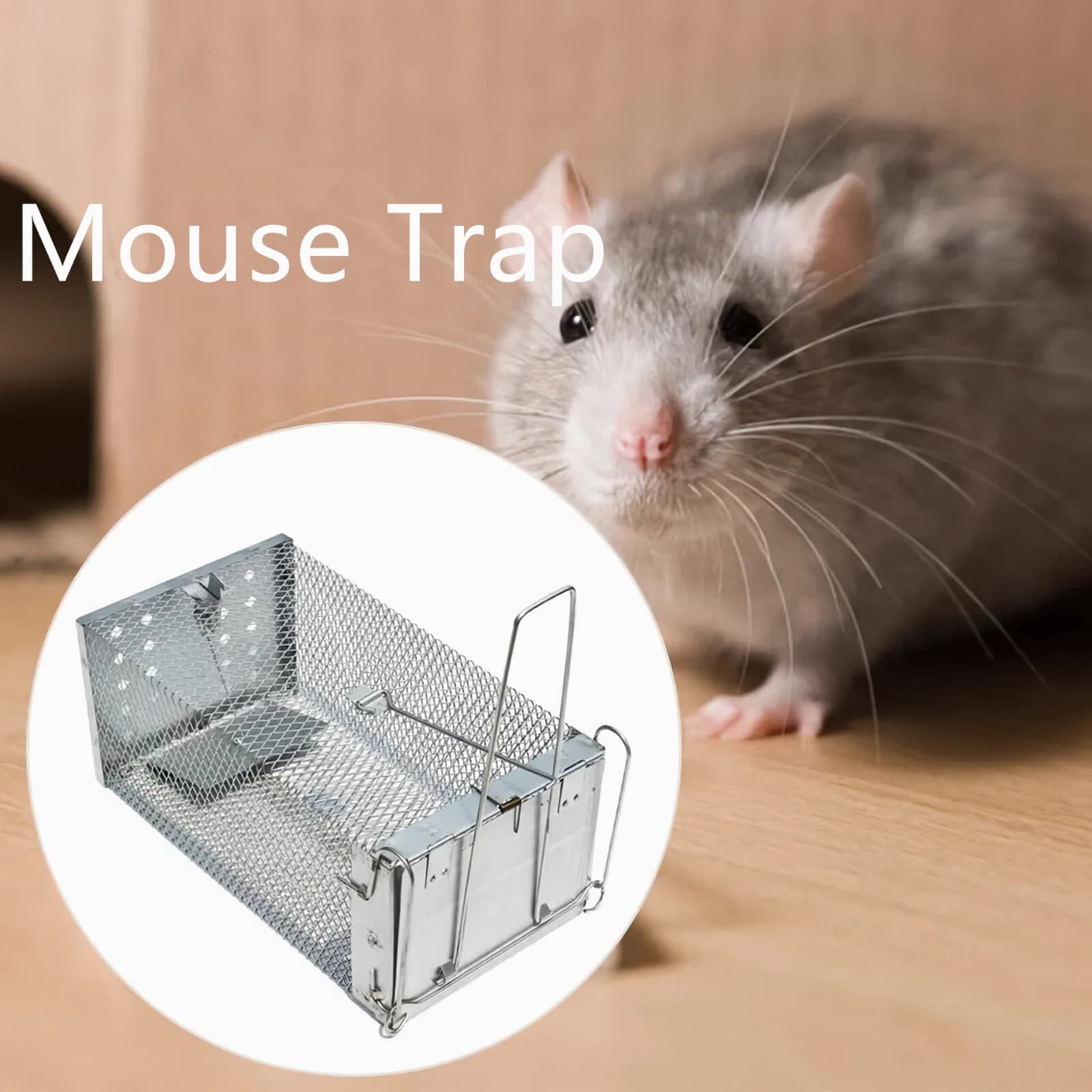 Mouse Trap Rat Trap Rodent Trap Live Catch Cage Easy to Set Up and Reuse 3