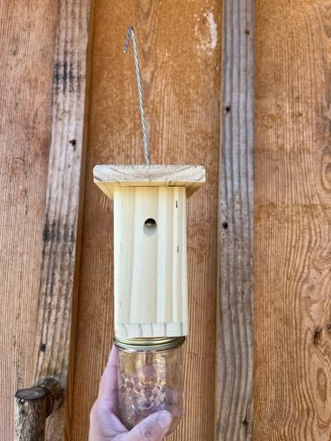 Best Carpenter Bee Trap - Patented Carpenter Bee Trap - Set of 6  Free Shipping 3