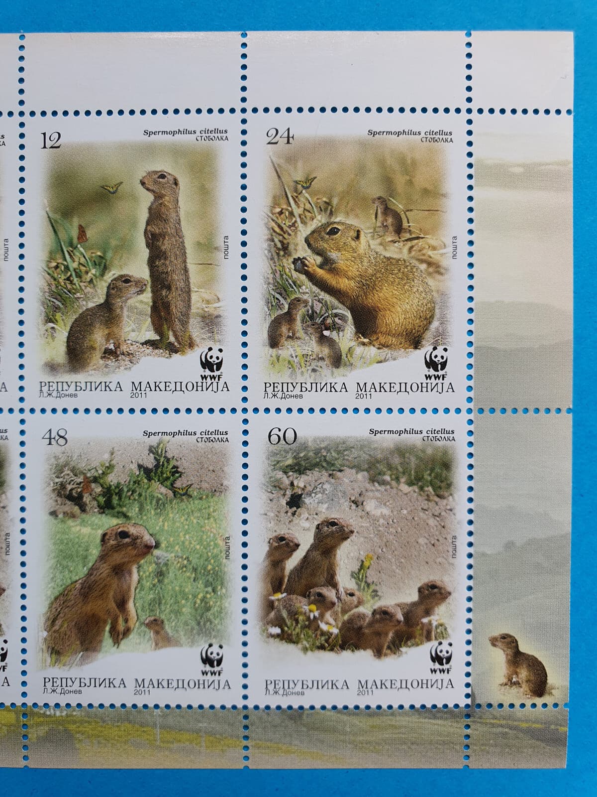 Macedonia 2011yr. - Ground Squirrel - Macedonian POST STAMP SHEET MNH WWF 2