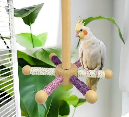 Bird Perch Toy, Parrot 360° Rotating Stand Perch, Wooden Interactive White 5