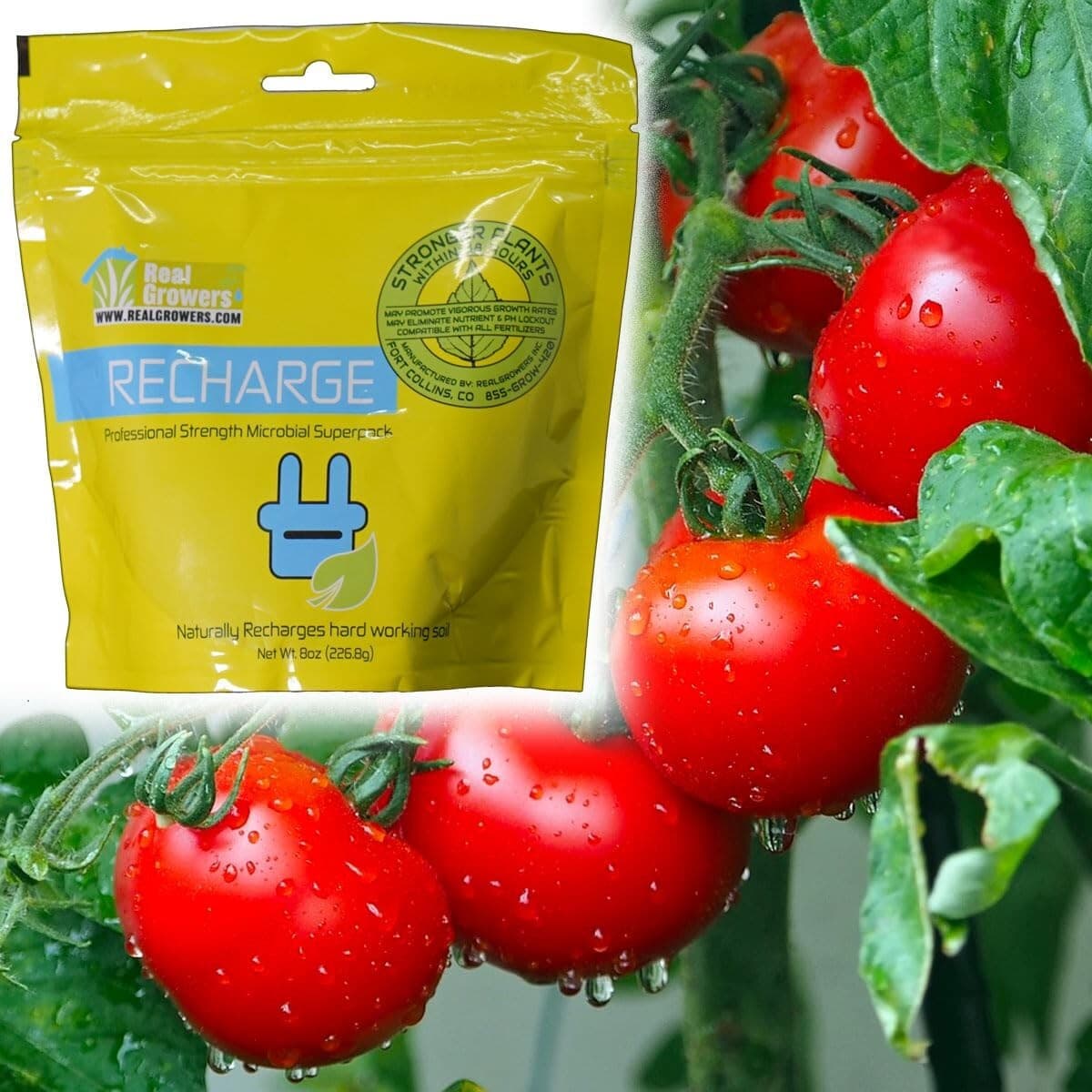 Real Growers Recharge - Mycorrhizae Instant Compost Tea/Soil Microbes 3