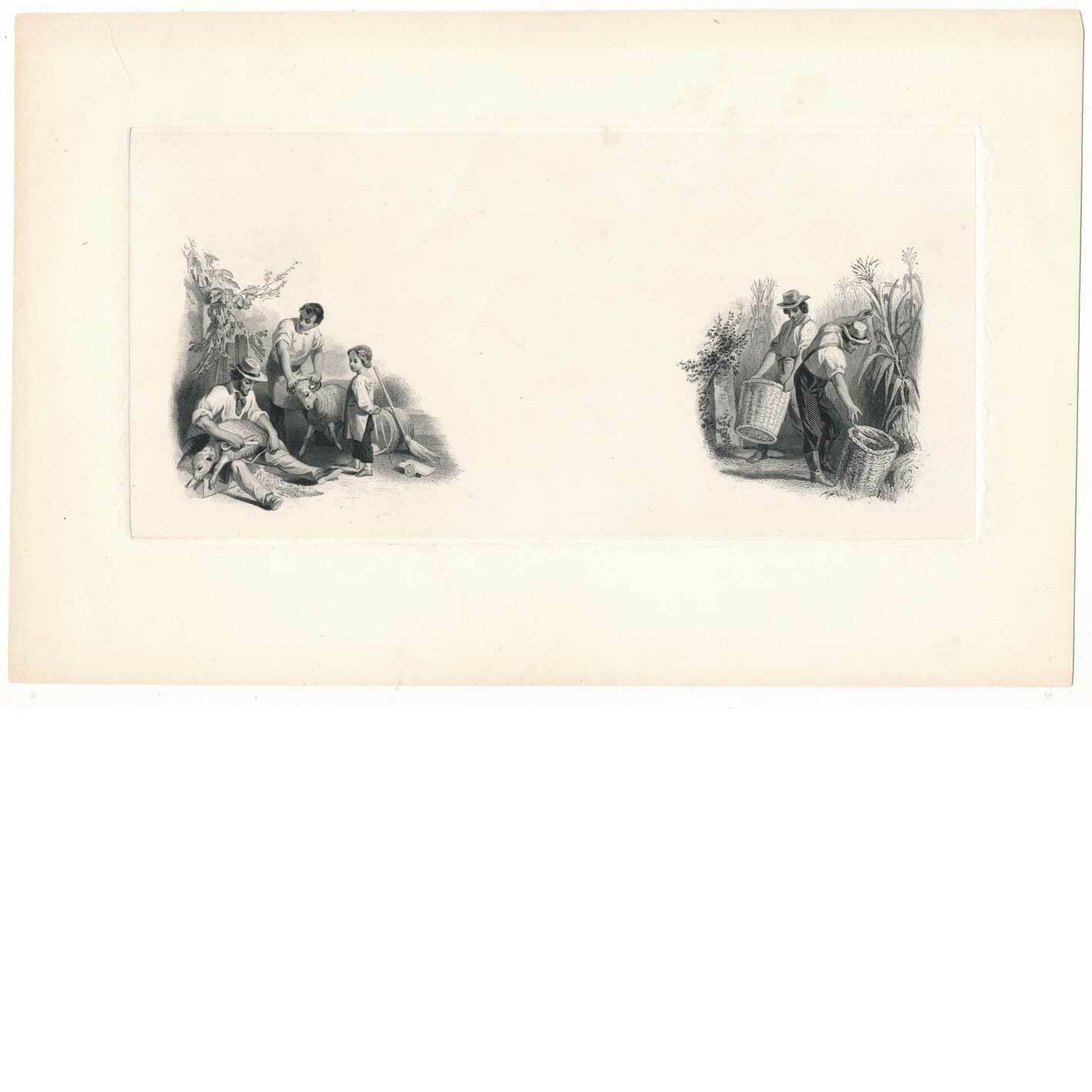 Die Proof Vignette, Harvesting, Bald, Cousland & Co. 1858 overall card 10" x 6.5