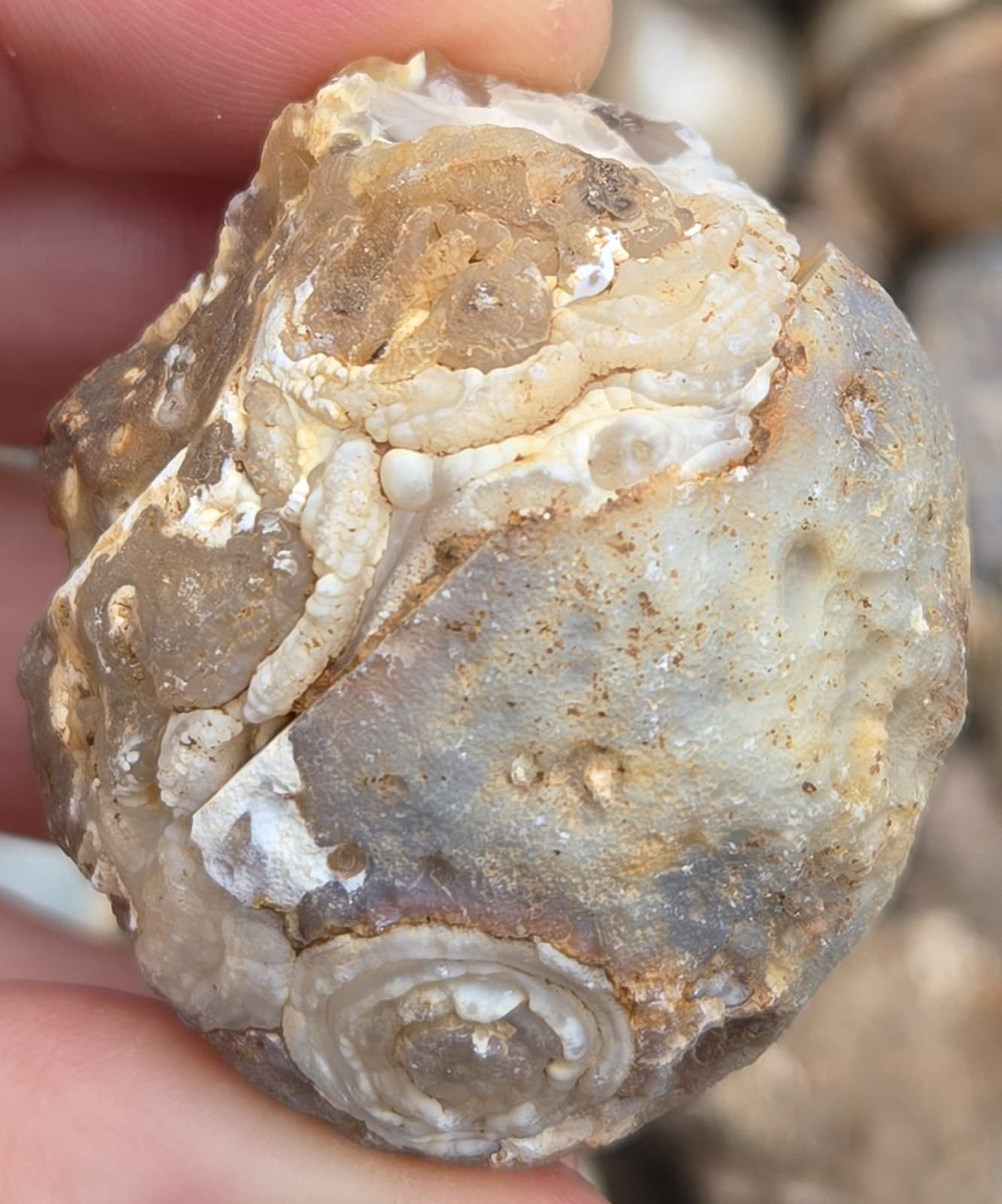 Oco Agate Geodes Whole - Mine Run Rough - 1 Pound Lb - Mostly Solid Agate 5