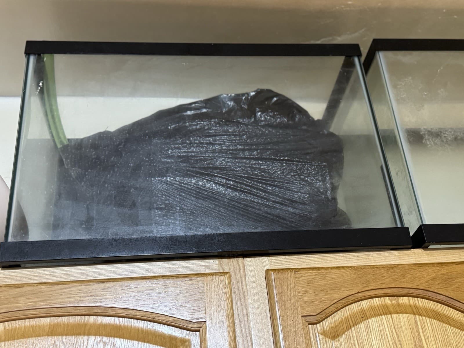 75/55/29/20 Gallon Fish Tanks 5