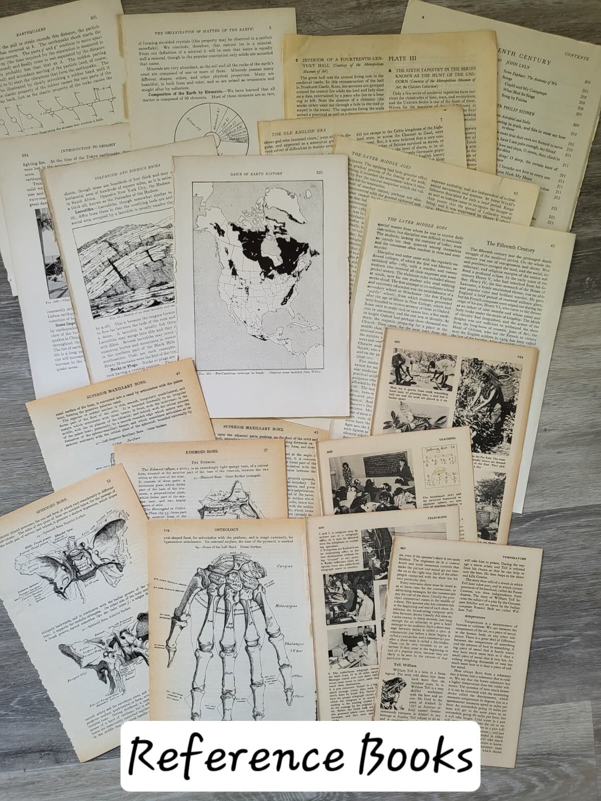 Ephemera Pack, 100 Antique Vintage Old Book Pages Foreign Language Illustrations 2