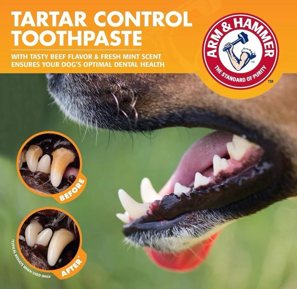 Arm & Hammer for Pets Dog Tartar Control Kit Toothpaste Toothbrush Mint NEW 4