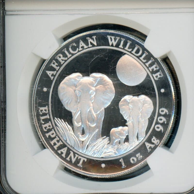 Somalia 2014 100 Shillings Silver NGC BRILLIANT UNCIRC African Wildlife Elephant 3