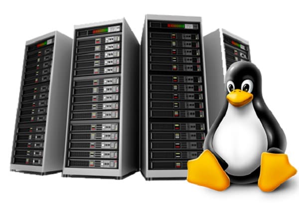 Business Web Hosting – 💻 Unlimited SSD, SSL & 24/7 Help | Only $13.99/Yr 6