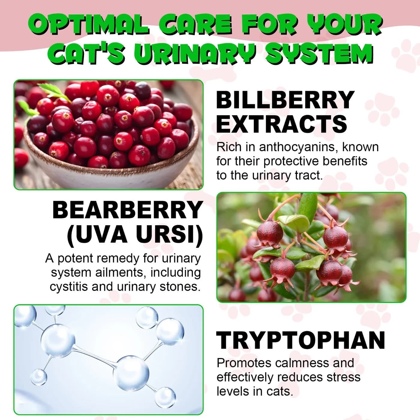 Urinary Tract Infection Treatment for Cats – 60 ML Cranberry UTI Supplement 6