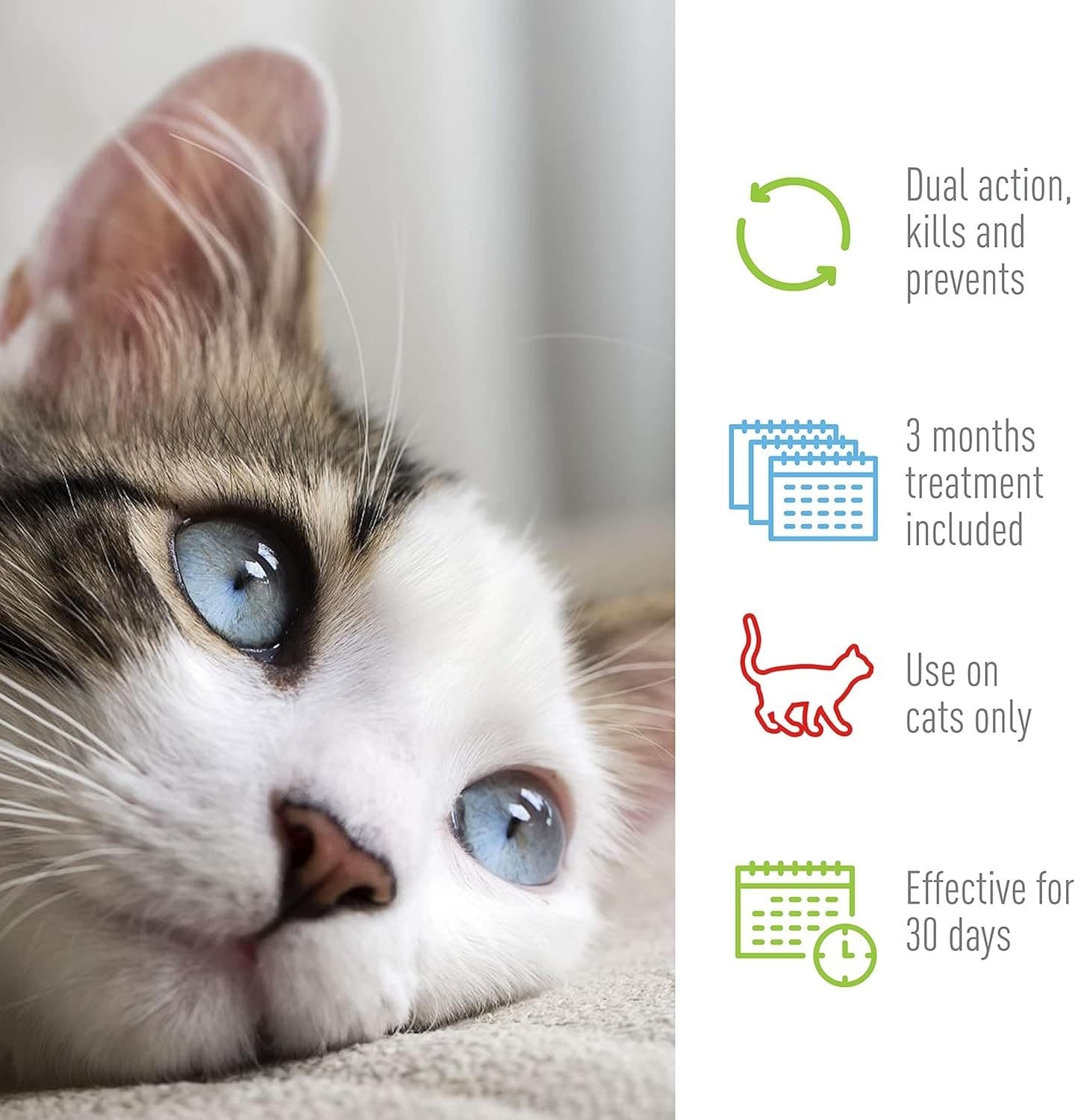 Adams Plus Flea & Tick Spot On for Cats Over 2.5 lbs but Under 5 Pounds 3 Month 6