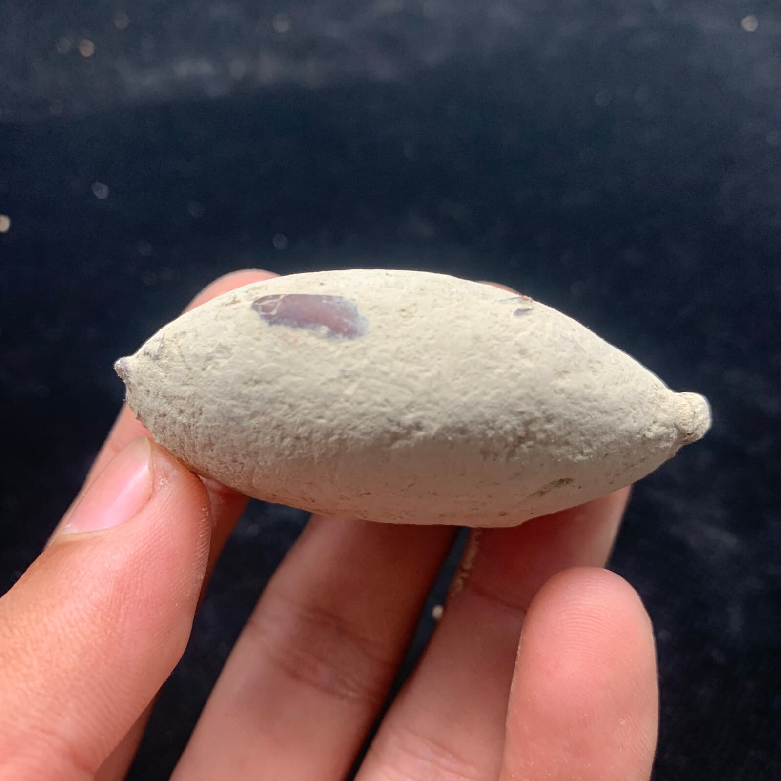 Jurassic Crab Fossils Awaiting Excavation Nuclear Dinosaur Age 2