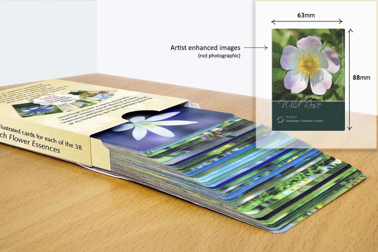 Bach Flower Divination Cards Pack 38 Beautiful illustrations, proverbs, quotes 4