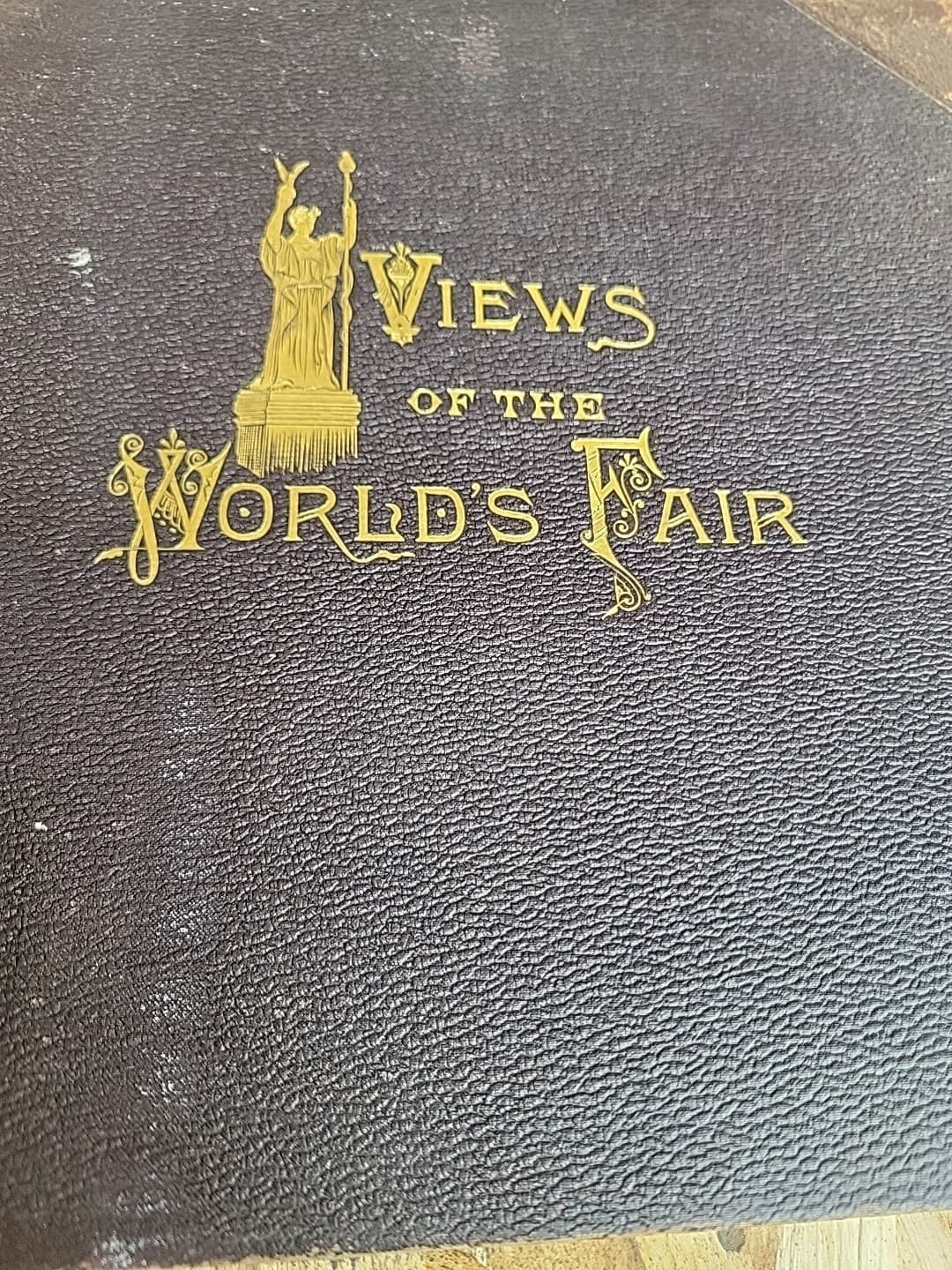 Rare 1893 “Views Of The Worlds Fair- Photo Views of World’s Columbian Exposition 2