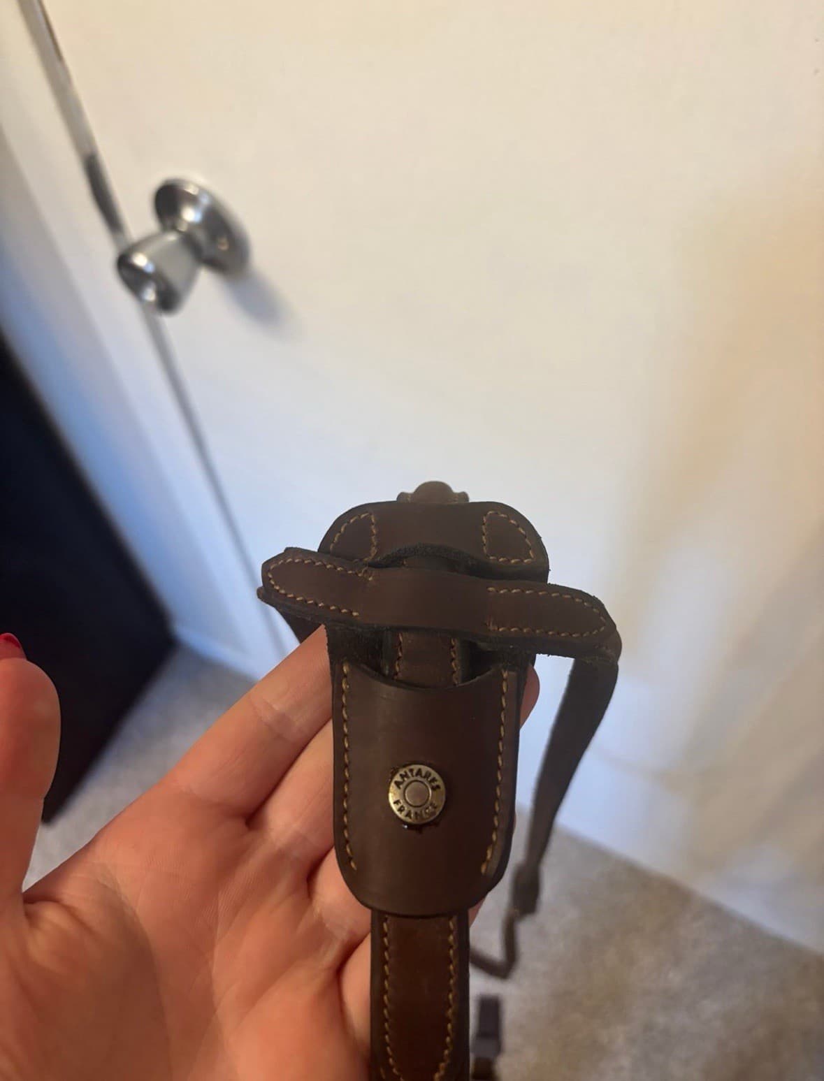 Antares Running Martingale 2