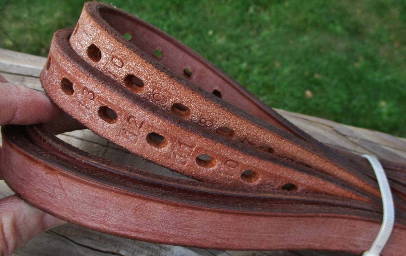 Deluxe English Saddle Stirrup Leathers "3/4 x 54" -Beveled Edges-Numbered Holes 3