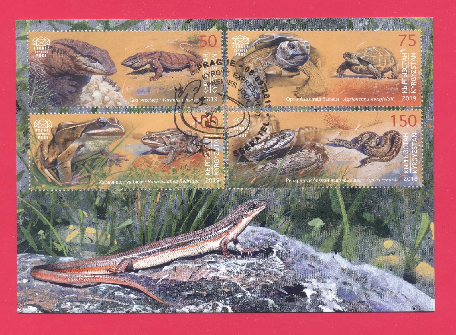 KYRGYZSTAN 2019 Reptile Amphibian Varanus Turtle Frog Snake Viper Maxicard Card