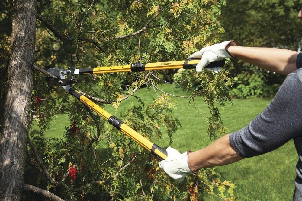 34" Ratcheting Anvil Steel Blade Lopper Telescopic Handles Branch Limb Cutter 3