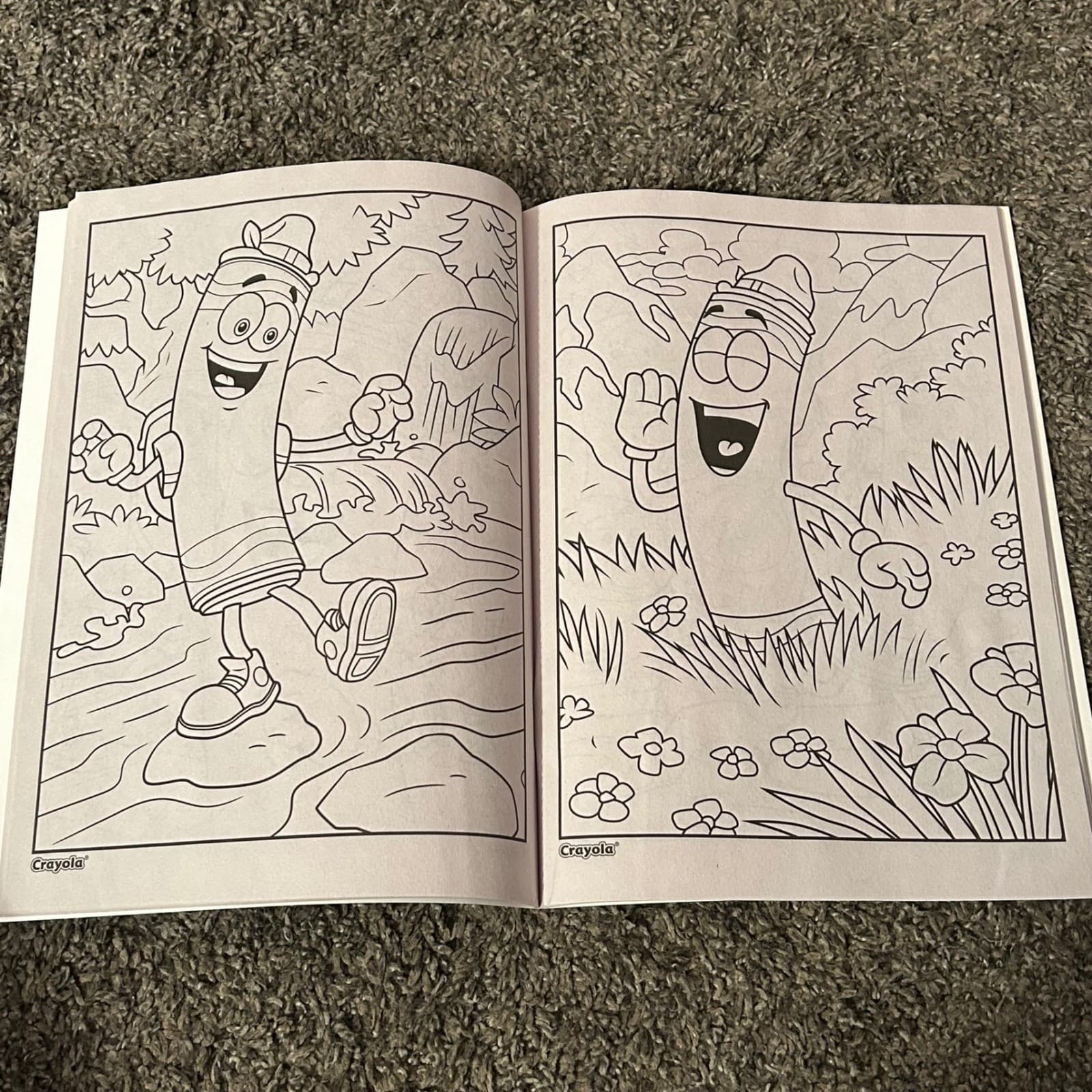 Crayola Limited Edition Coloring Book 48 Pages Kids Retired Crayons 3