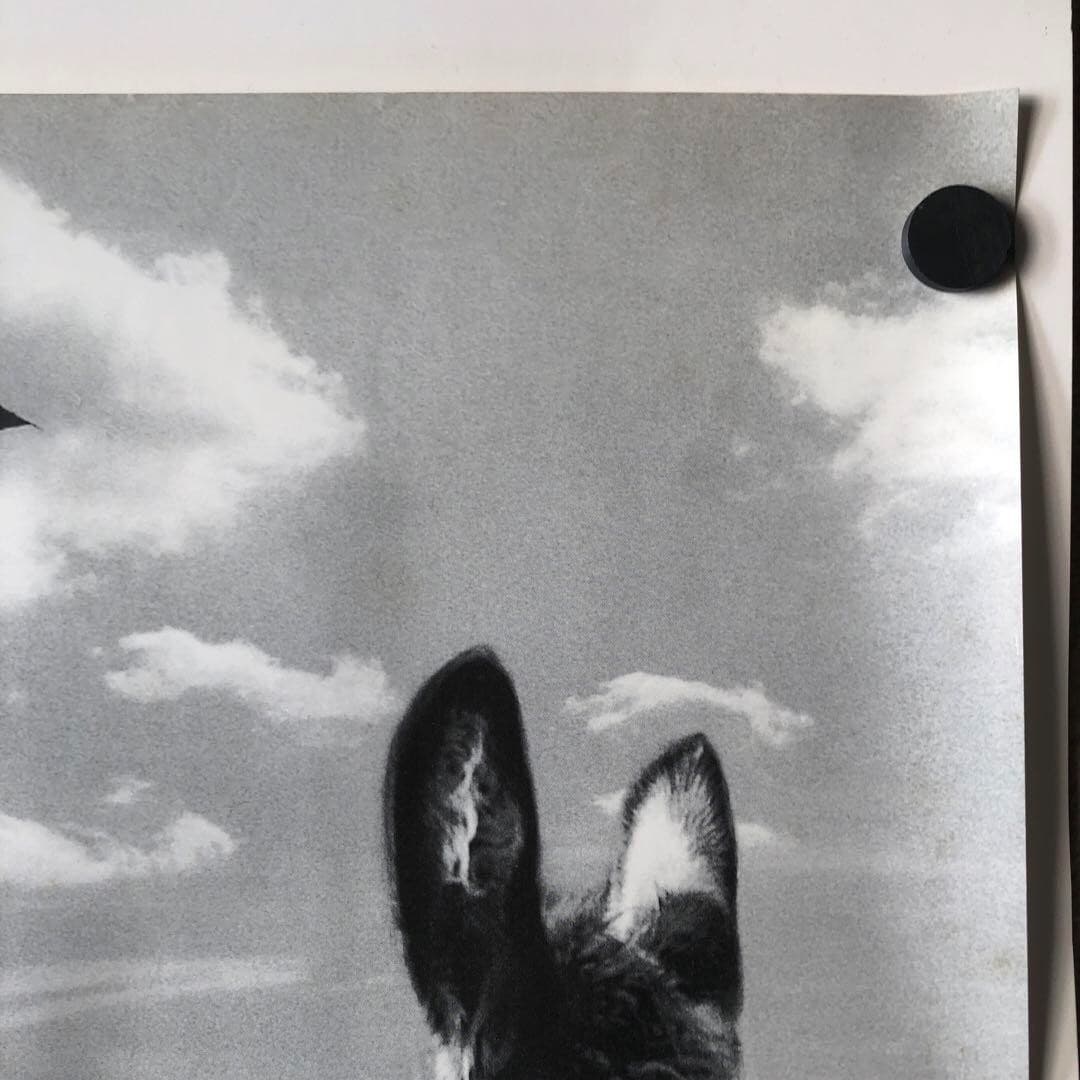 BECK / Vintage 1990s Original Official Poster 24x33in (615x860mm) 3