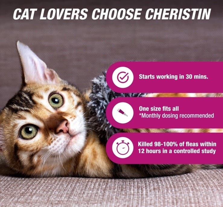 New Cheristin Flea Treatment & Prevention for Cats | Fast acting 1 Application 2