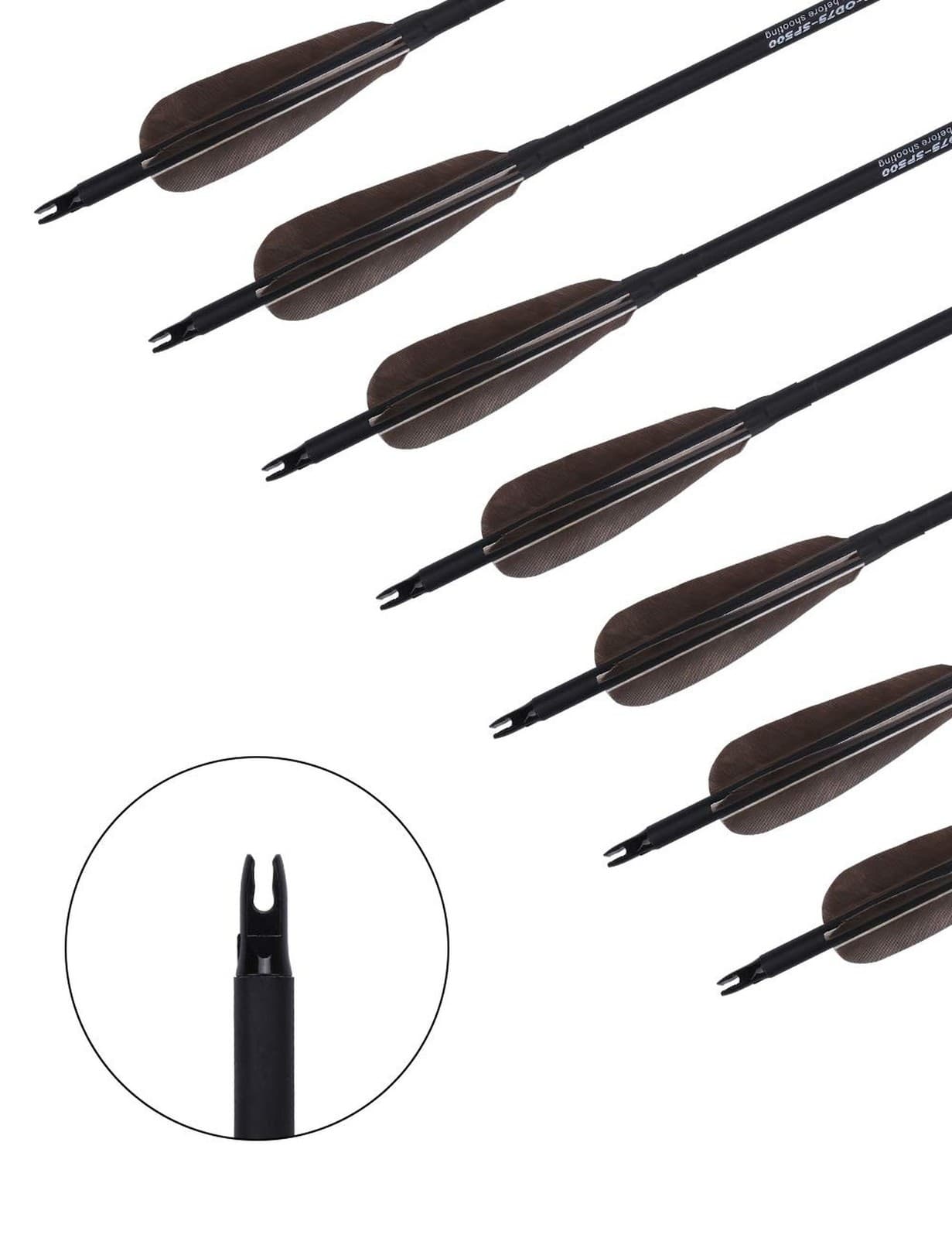 Archery 31-Inch Carbon Hunting Arrows, Turkey Feather Fletching with Replacea... 3