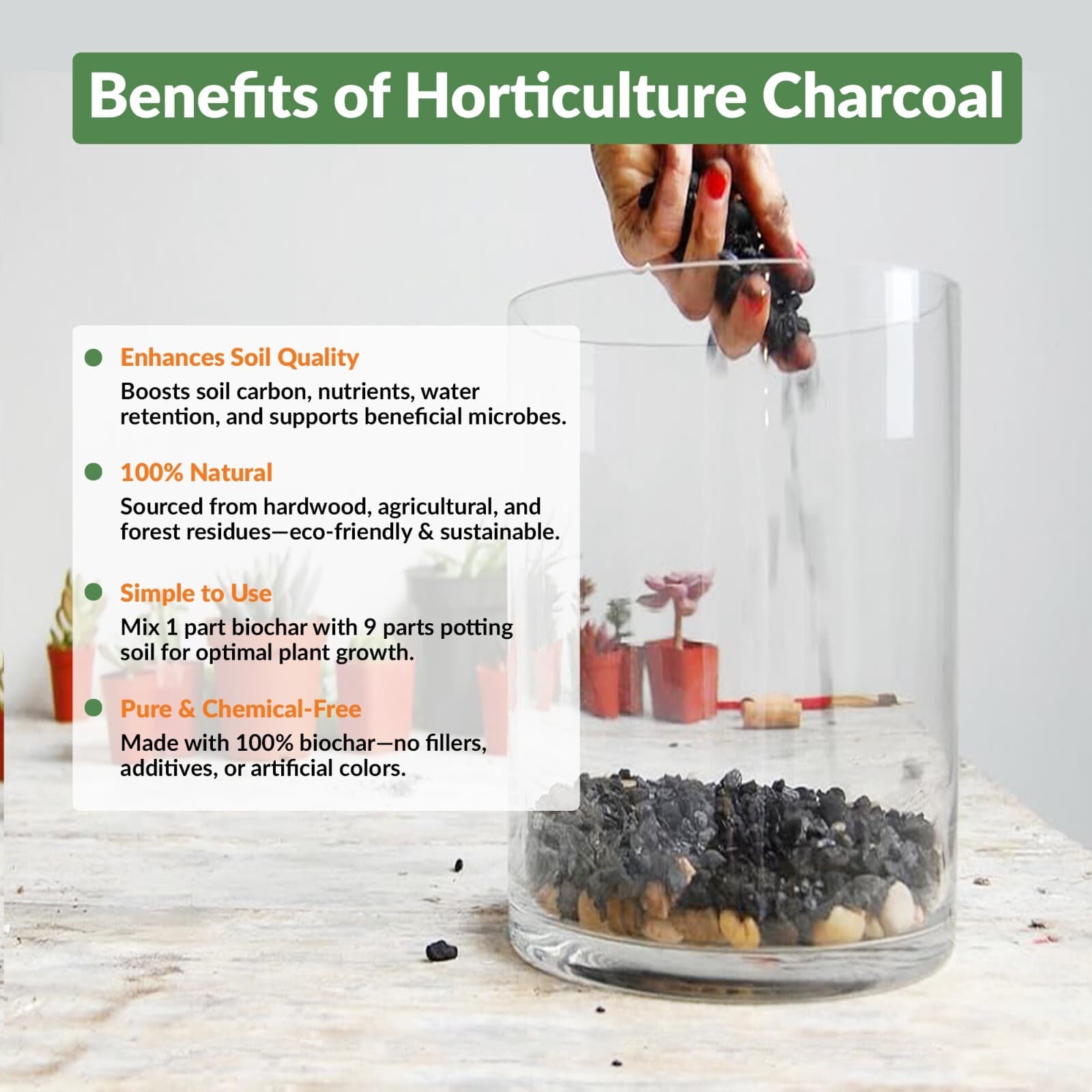 Premium Charcoal Chips, Natural Soil Boost for Aeration & Growth, 12-24 Quarts. 3